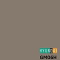 gm06h